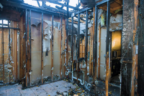 Professional Smoke Damage Removal technician working in Dover Beaches South, NJ